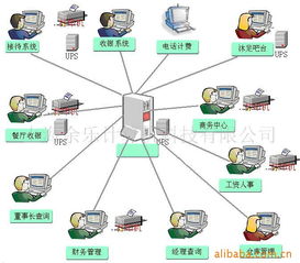 行业专用软件产品列表与基础软件服务概述